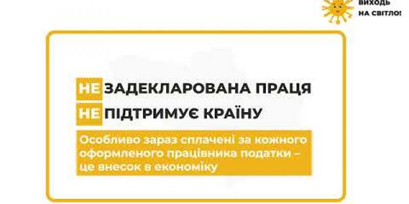 Вбудована мініатюра для Задекларована праця підтримує країну